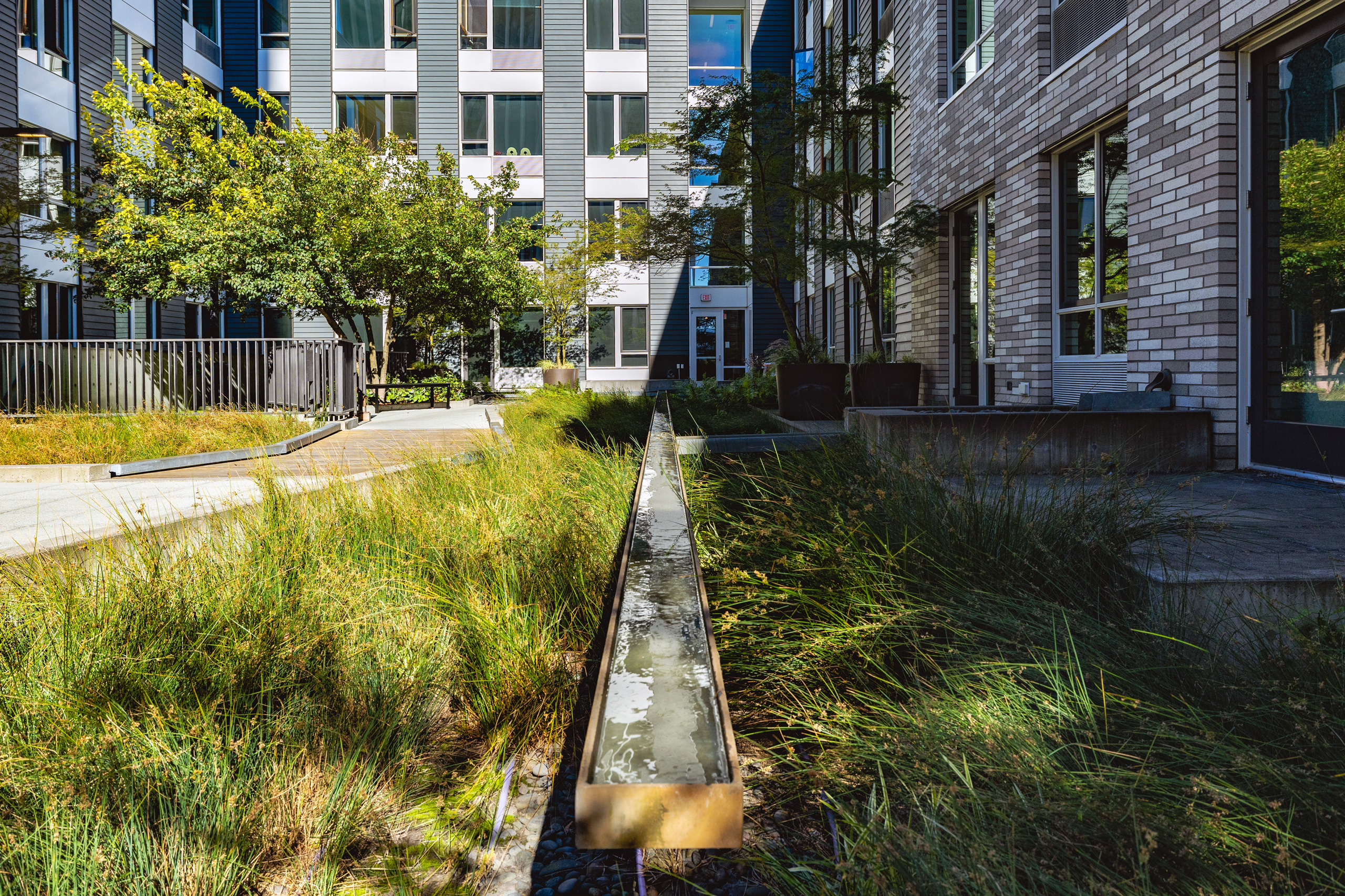 Stormwater rill or runnel for stormwater management at Hassalo on Eighth sustainable urban luxury apartment community